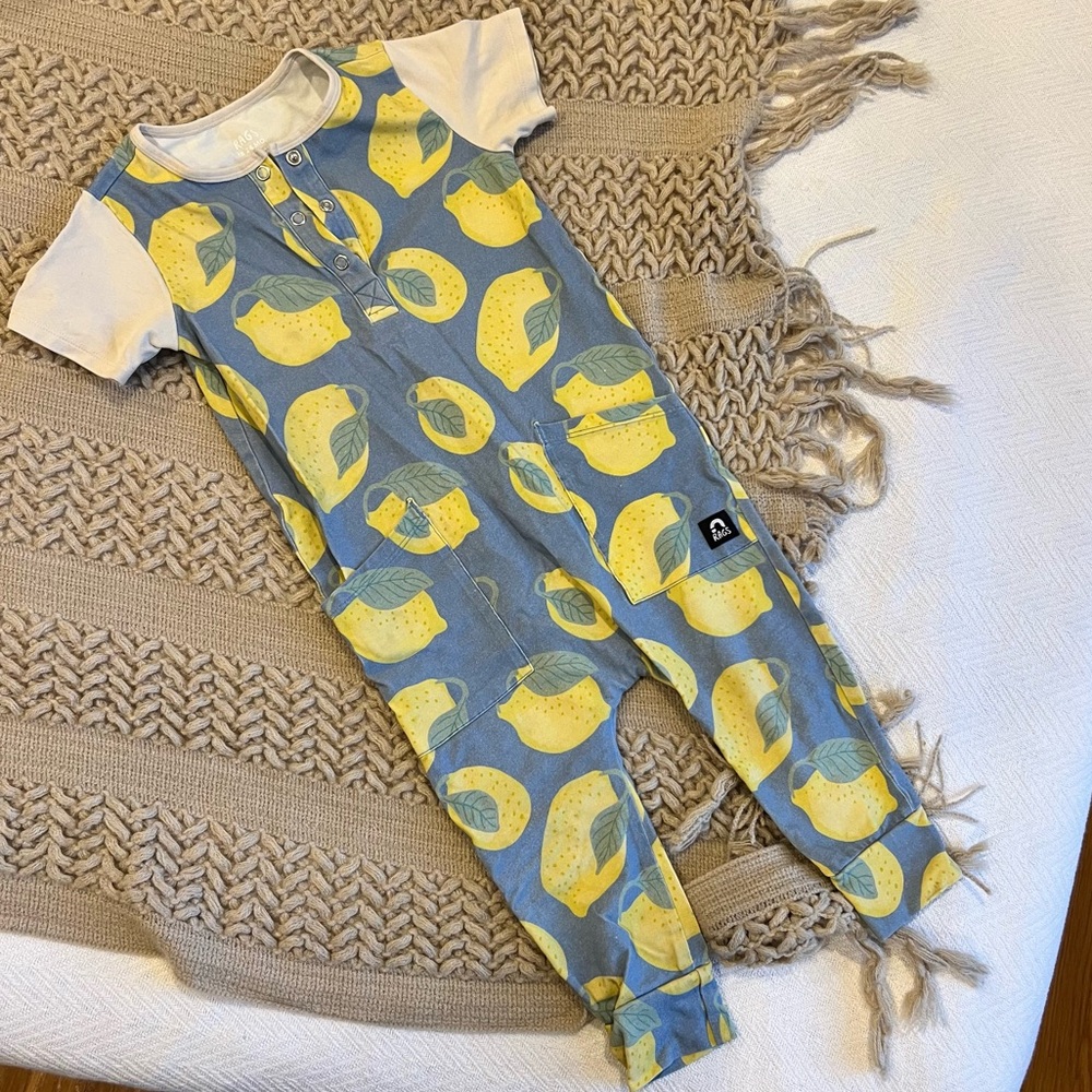 Rags to Raches Lemons